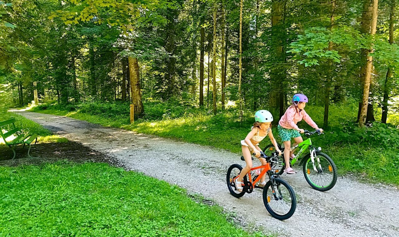 25 juillet - Forêt du Communal 1 - copie