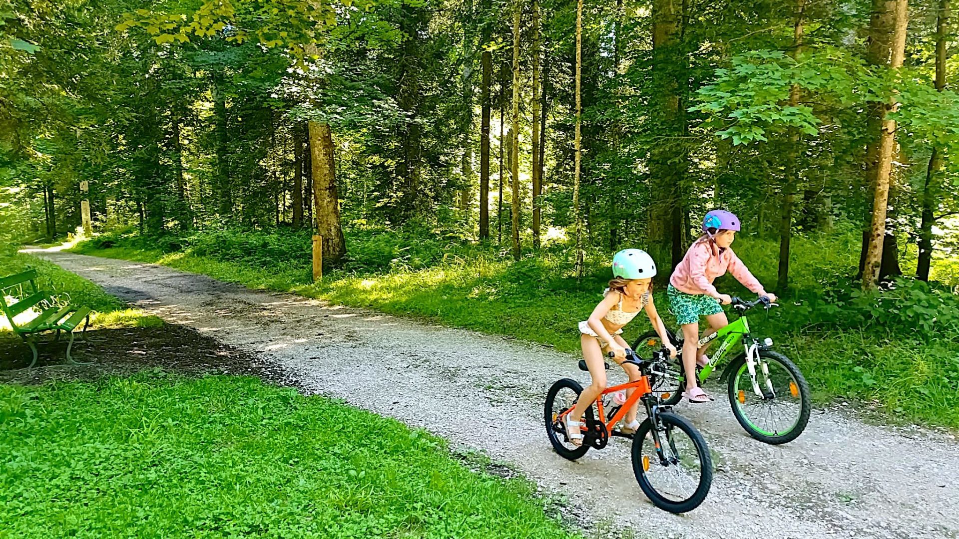 25 juillet - Forêt du Communal 1 - copie