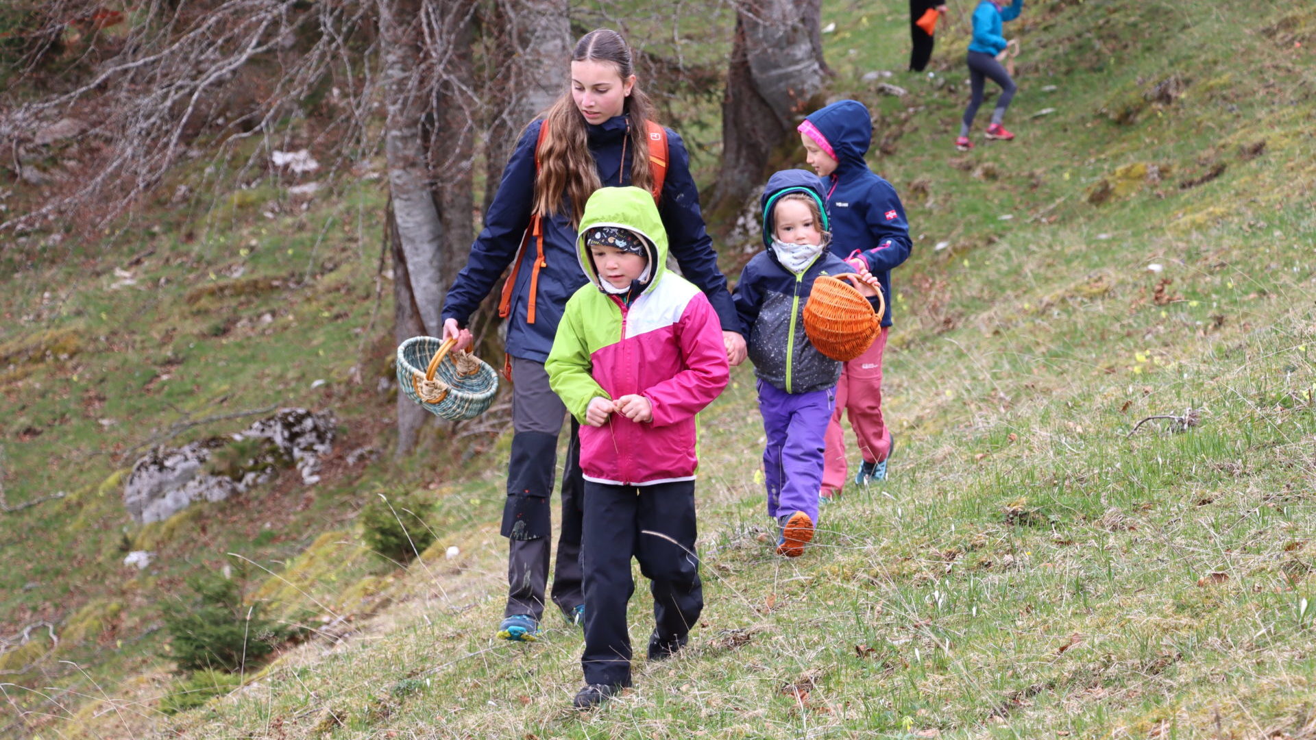 Course oeufs Robella 2025 8