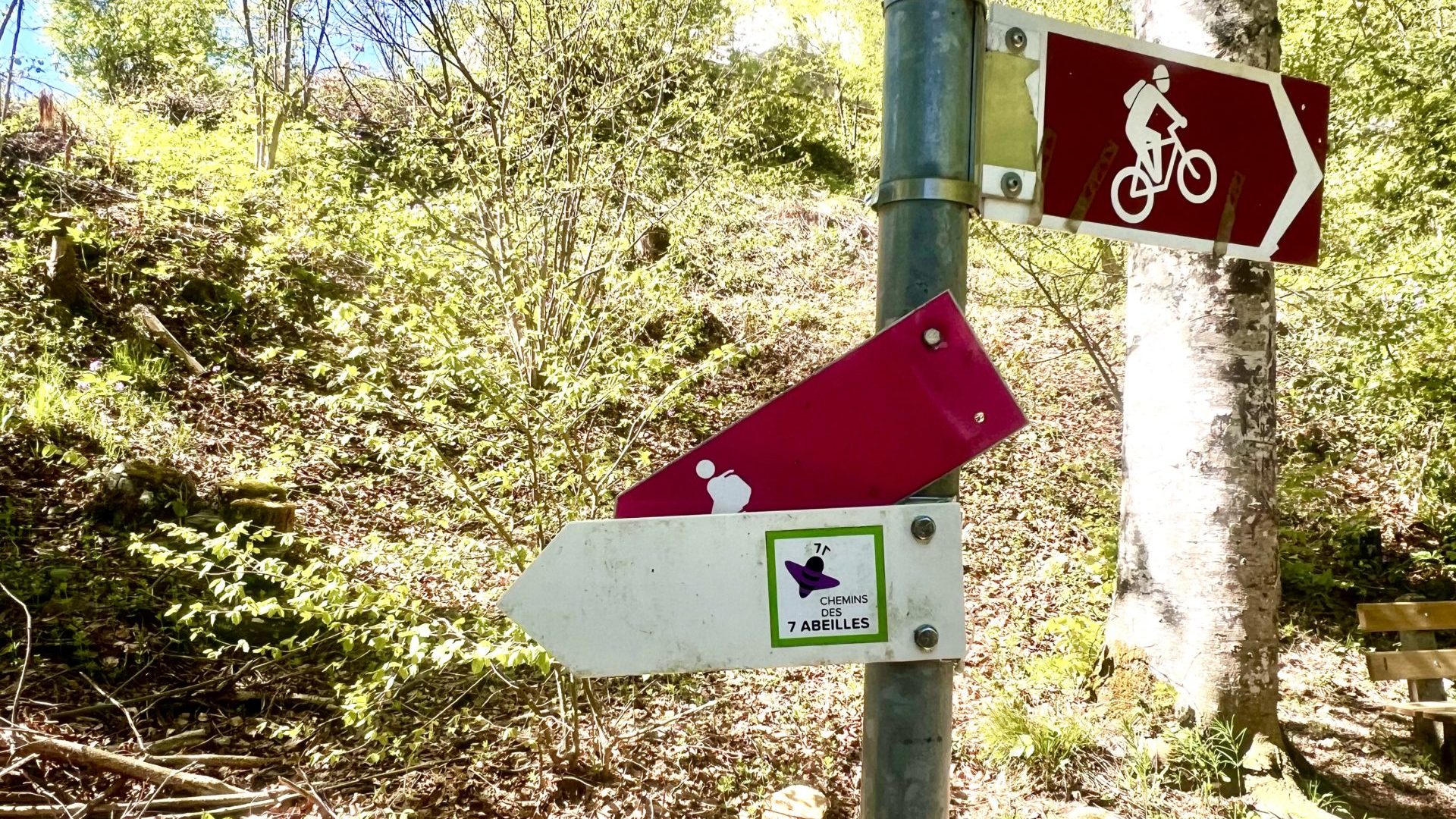 Panneau indicateur reconnaissable à sa couleur