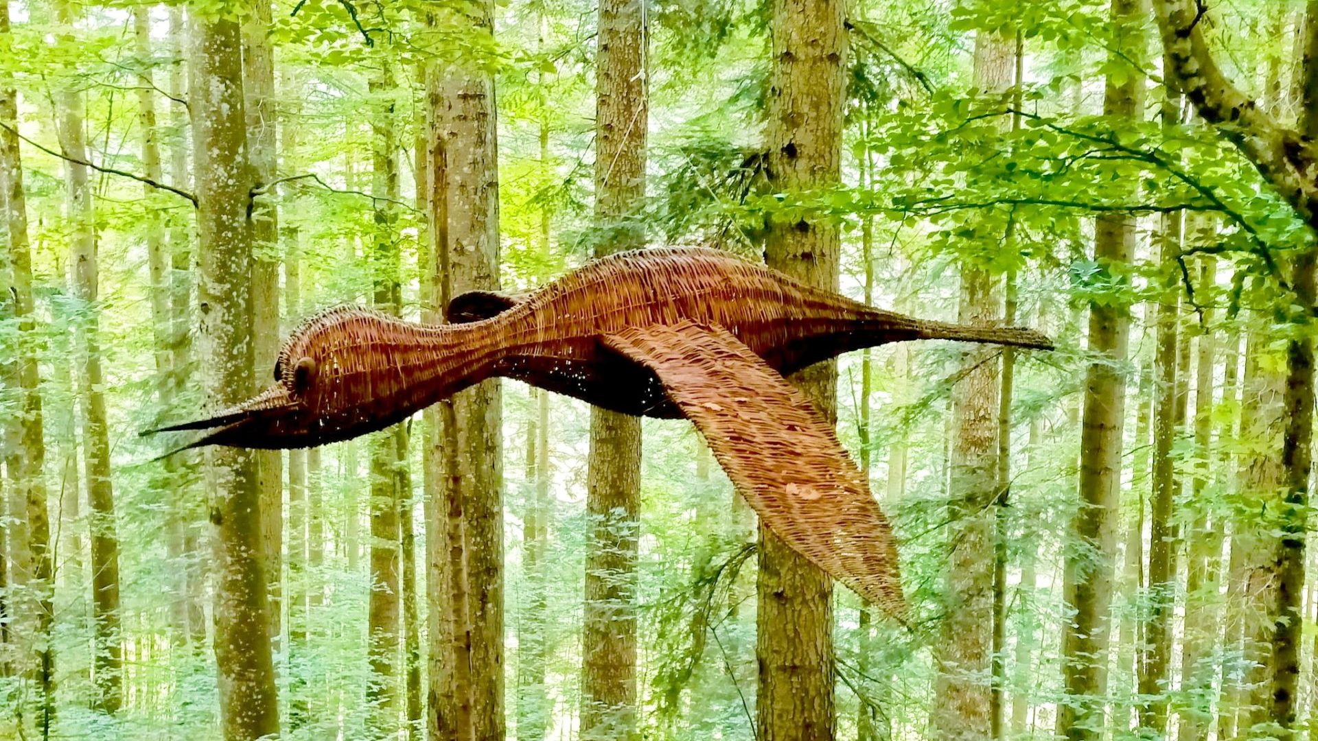 Land art 3