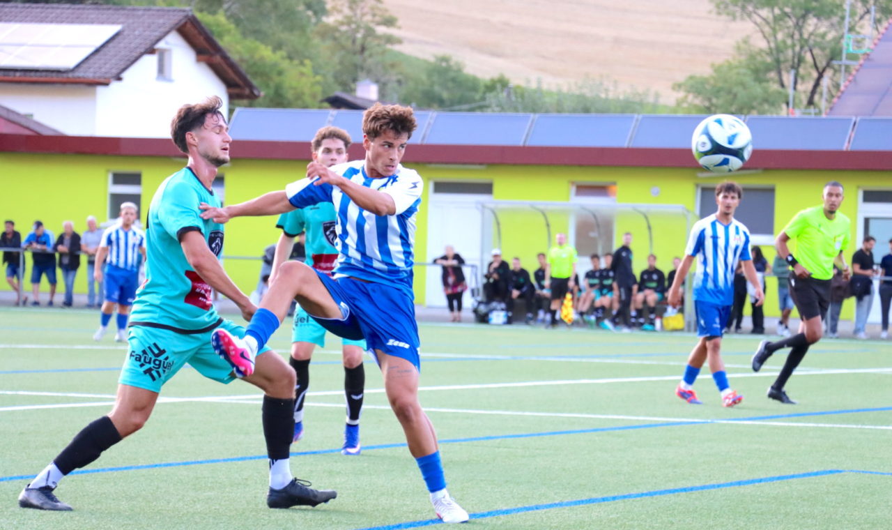 Le Parc VDT 10aaa