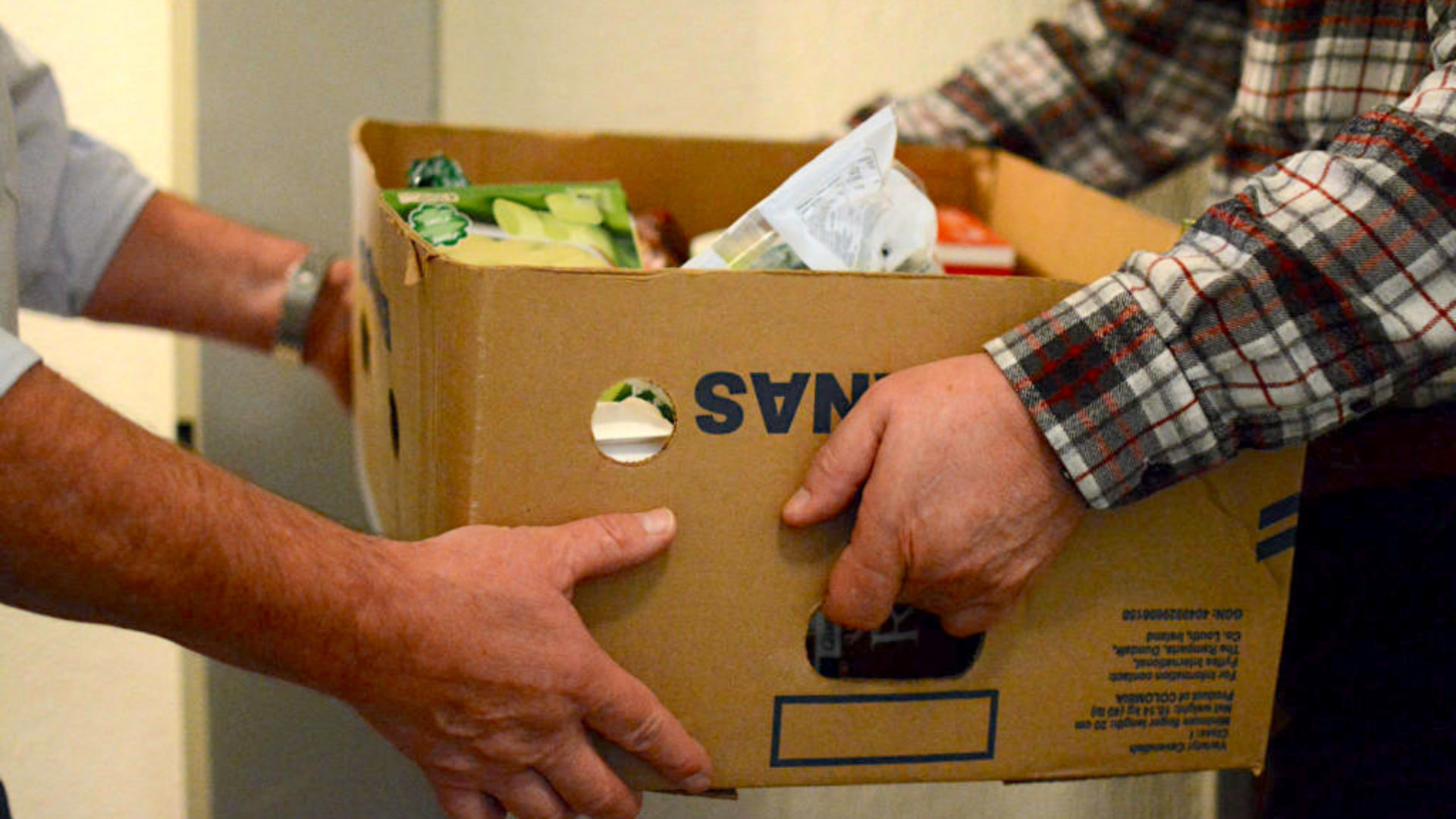 Photos Cartons livreurs.jpg ok