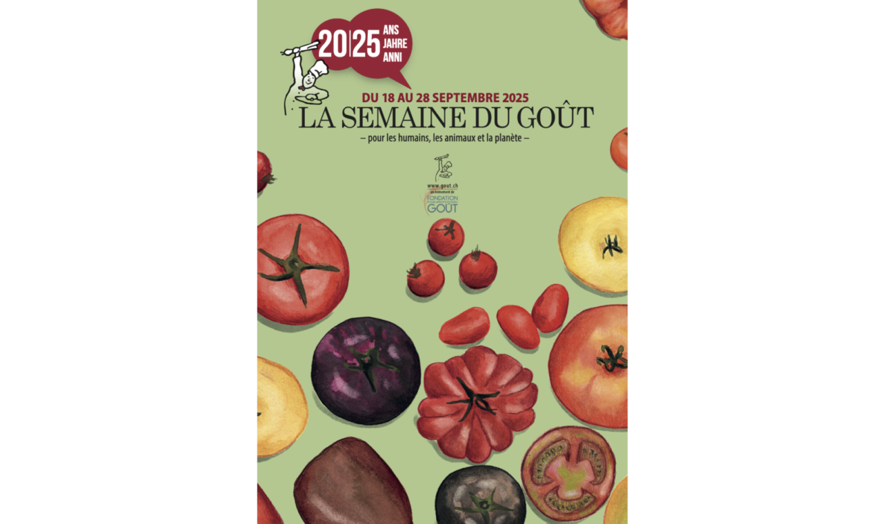 SDG_2025_Affichette_A3_FR copie