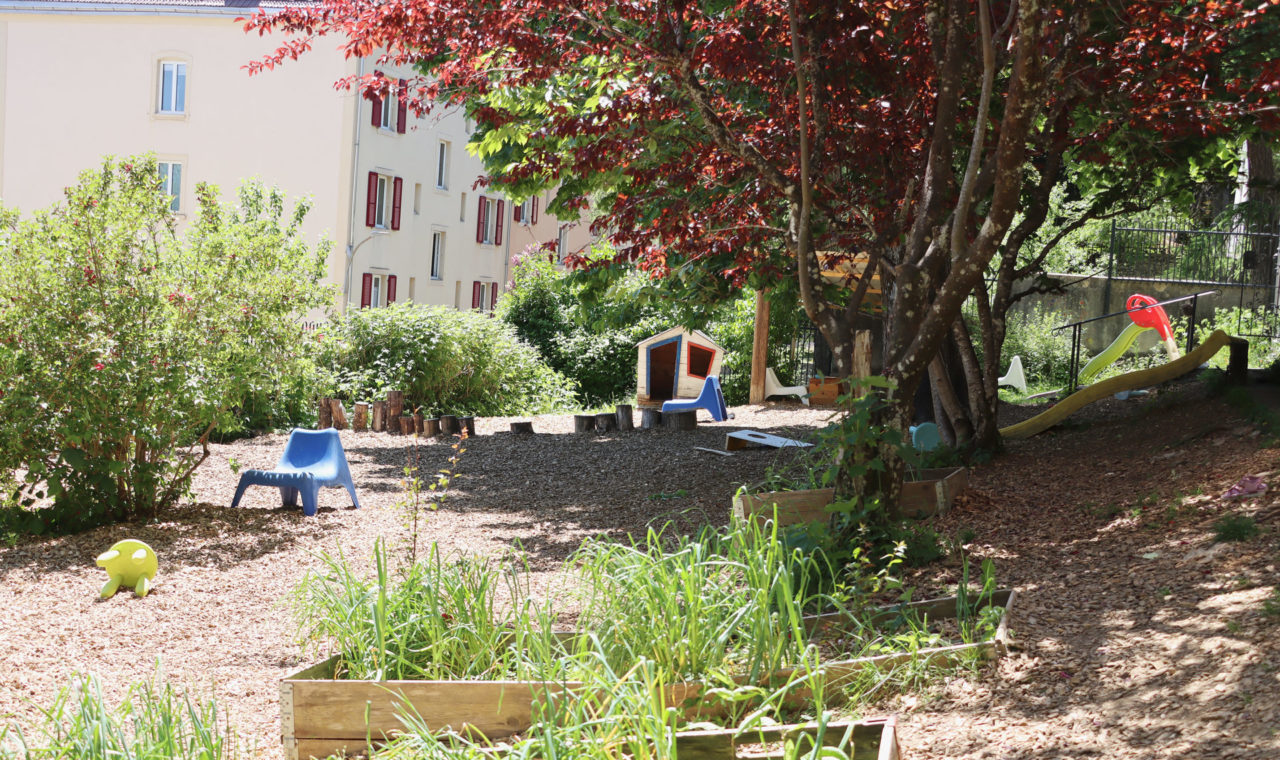 Scola 2026 4