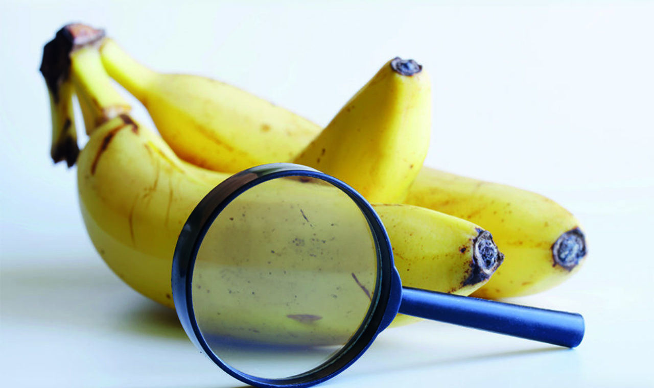 Des NGT ont été appliquées sur des fruits et légumes comme la banane ou la tomate. (Adobe Stock Andrey Popov)