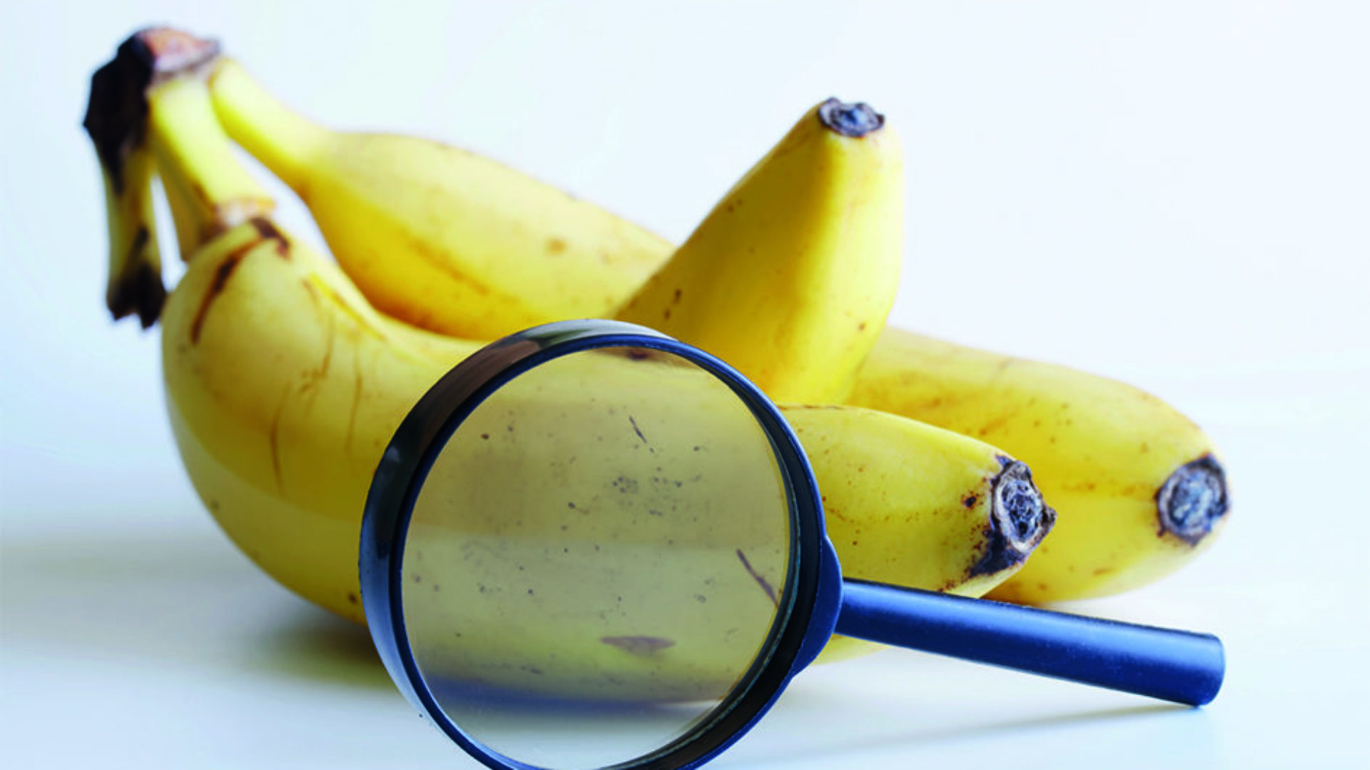 Des NGT ont été appliquées sur des fruits et légumes comme la banane ou la tomate. (Adobe Stock Andrey Popov)